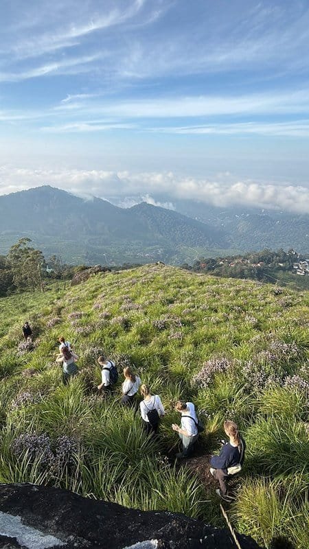 Small group hike through the tea plantations of Munnar
