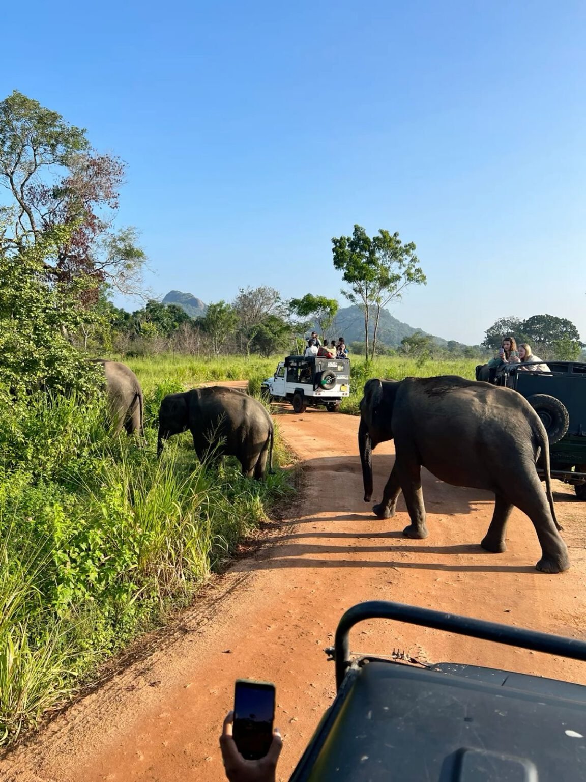 sri lanka group trip safari