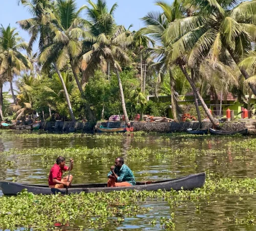 Kerala Backwaters backwaters of kerala india